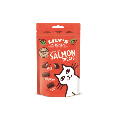 Lily's Kitchen Cat Salmon Treats