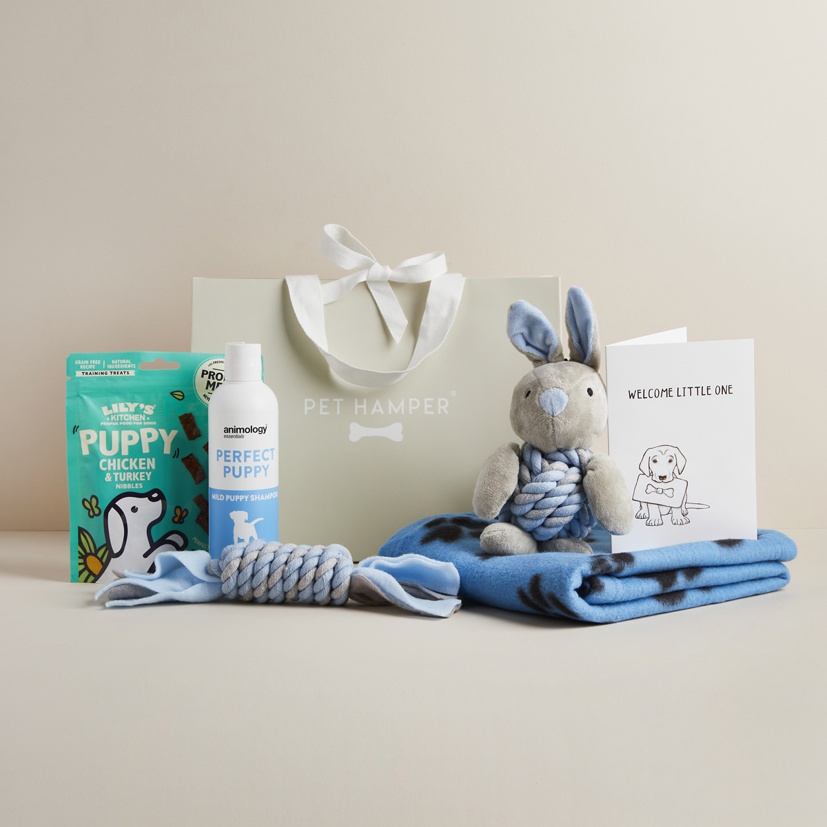 Blue Puppy Hamper