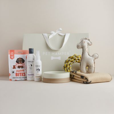 Lux Puppy Hamper