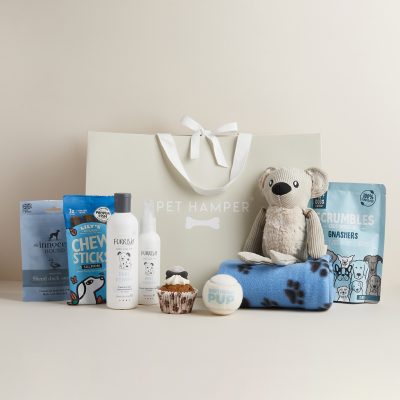 Lux Birthday Boy Dog Hamper
