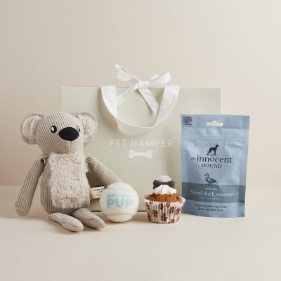 Birthday Boy Dog Hamper