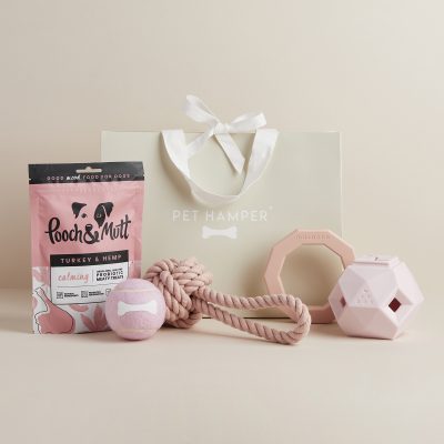 Pink Modern Pup Hamper