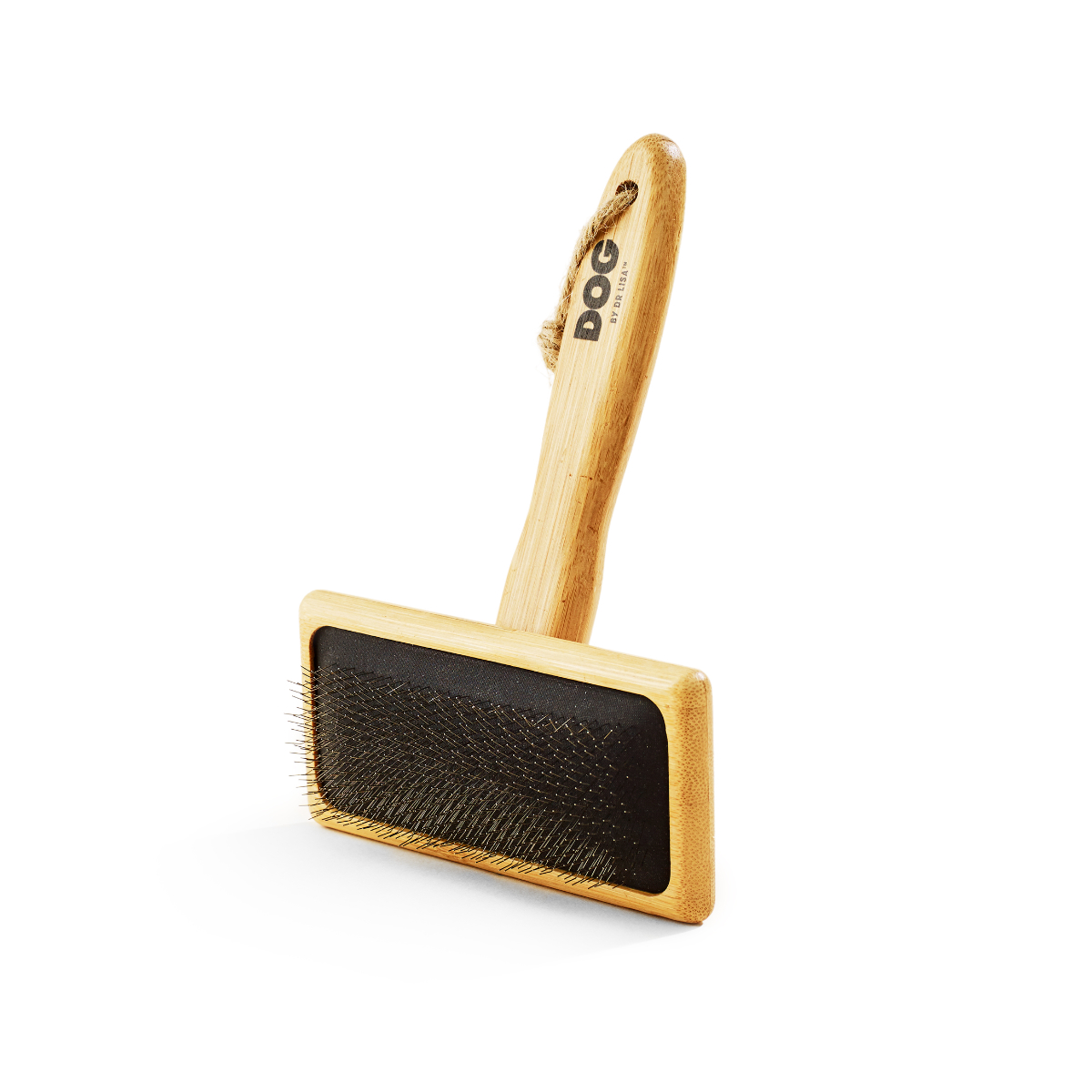 DOG By Dr Lisa Slicker Brush