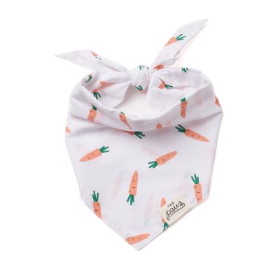 Carrot Dog Bandana