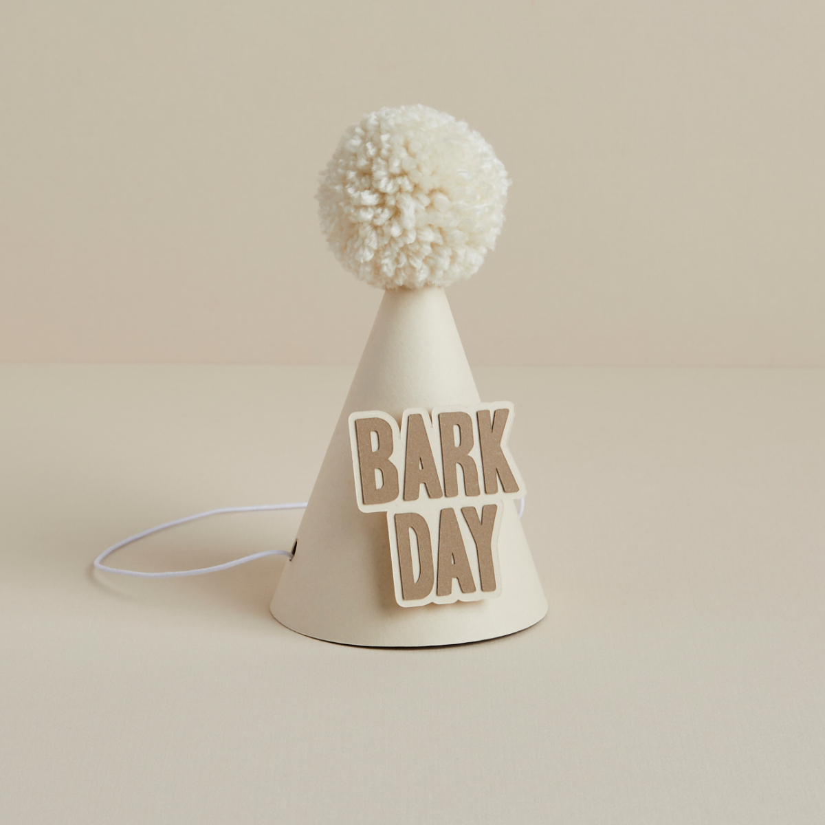 Party Hat - "Bark Day"
