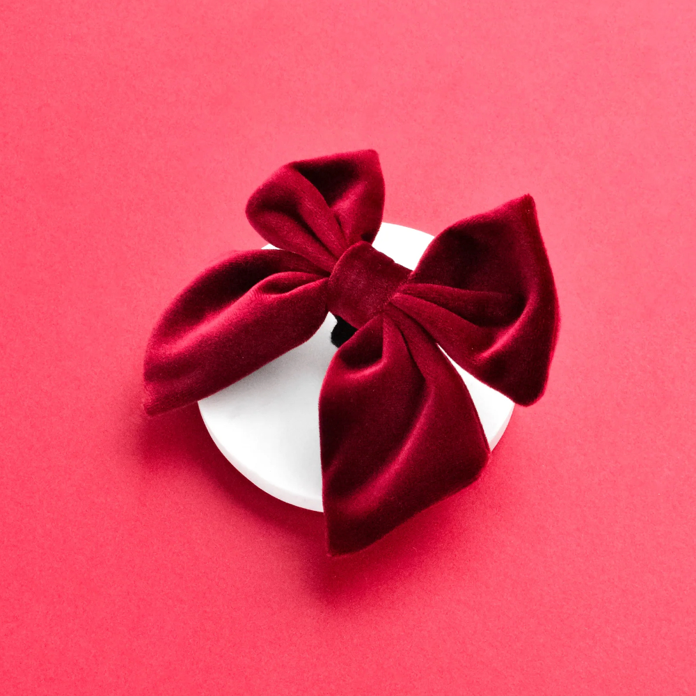 Cocopup - Luxe Velvet Sailor Bow Tie - Berry Red