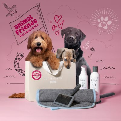 Animal Friends Dog Grooming Hamper