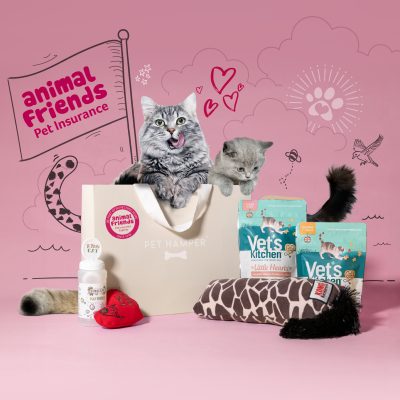 Animal Friends Cat Hamper