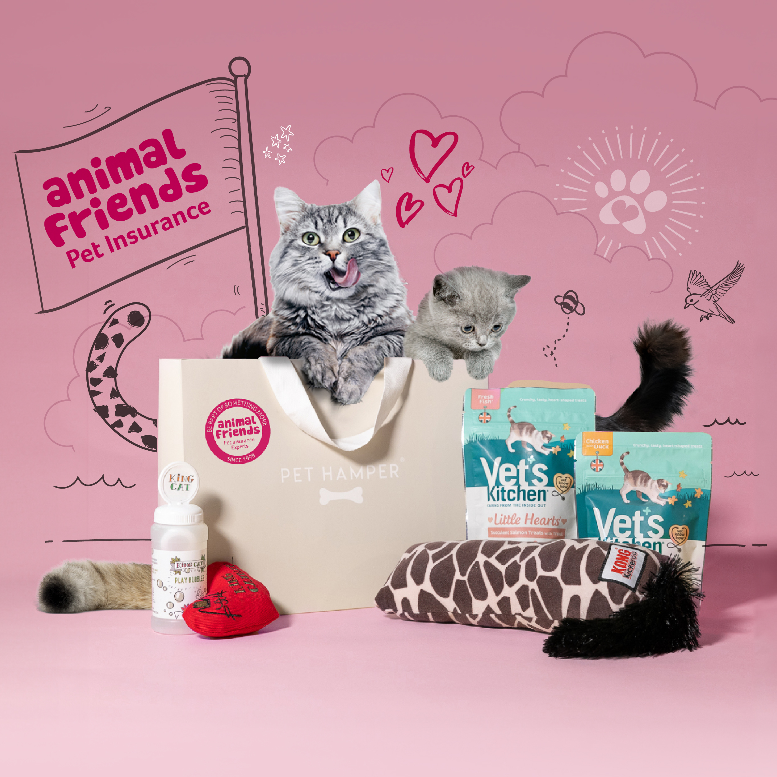 Animal Friends Cat Hamper