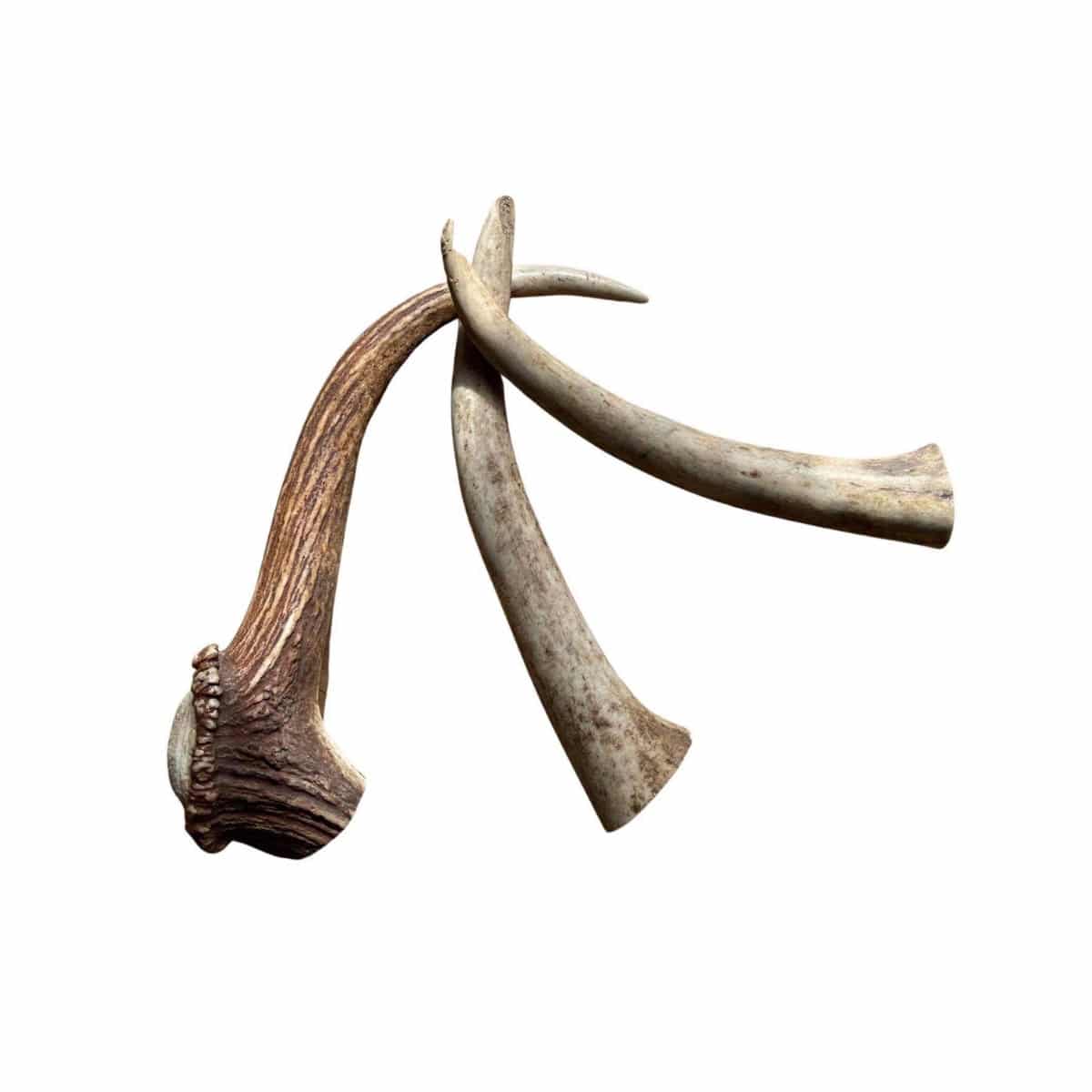 Antos Natural Antler Dog Chew