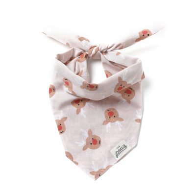 The Paws Bandana - Rudolph