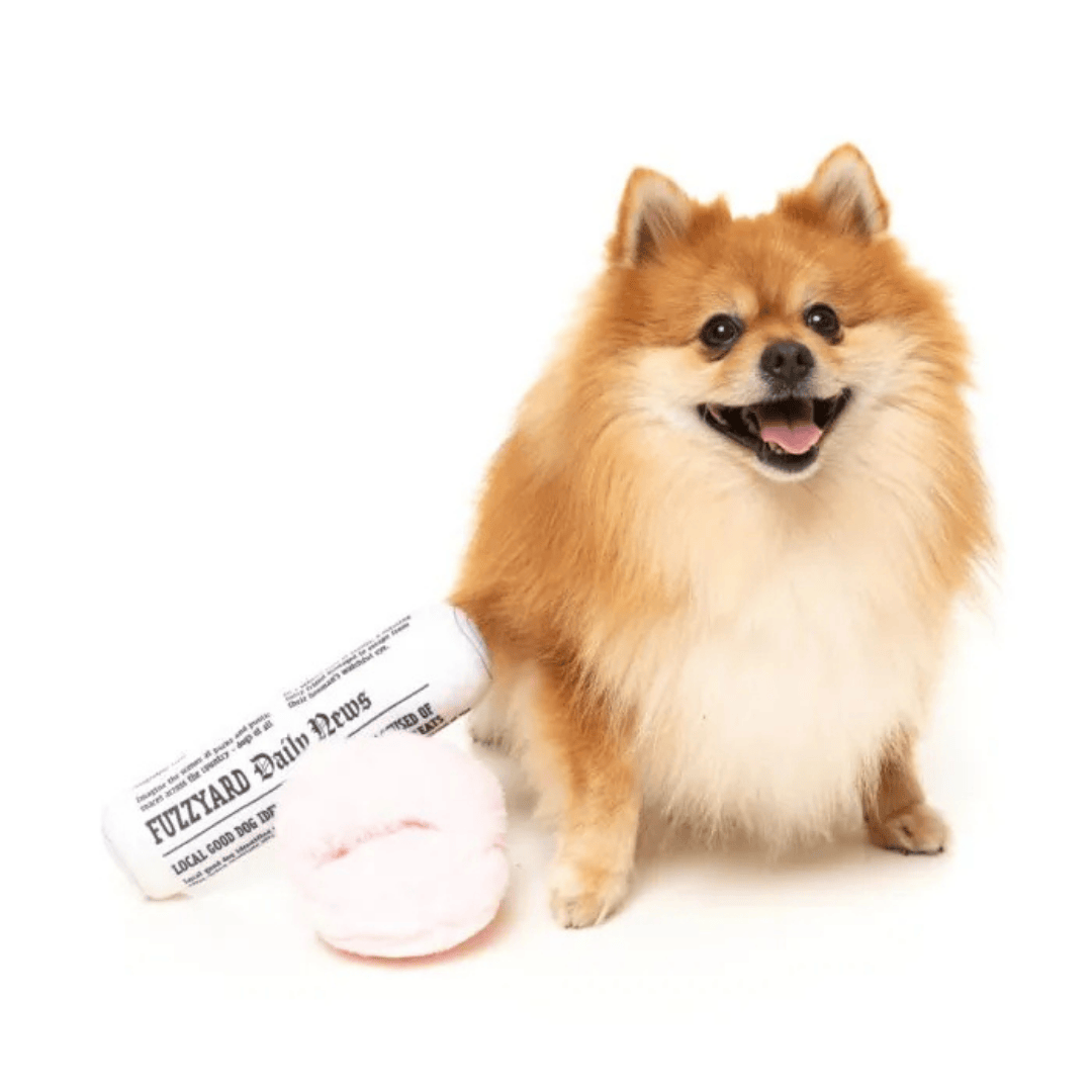 Fuzzyard Fetch My Slippers & Paper Dog Toy - with Dog