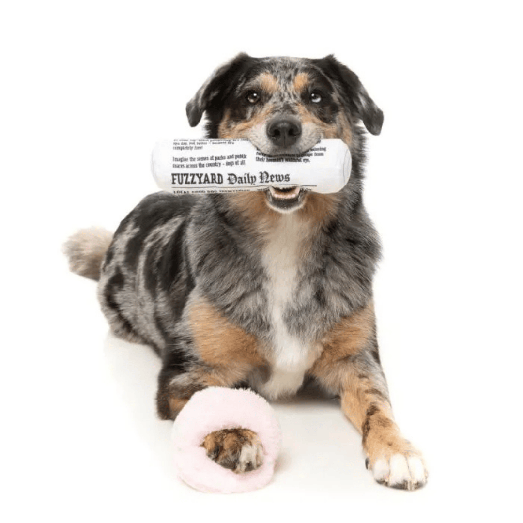 Fuzzyard Fetch My Slippers & Paper Dog Toy - with Dog 2