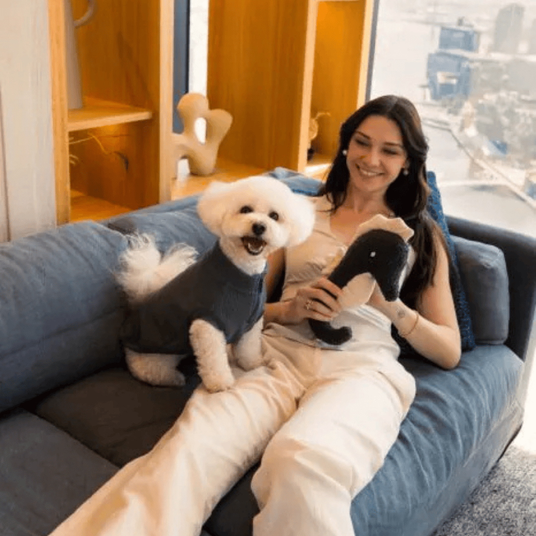 Fuzzyard Life Dog Toy - Slate Grey Seahorse - Lifestyle