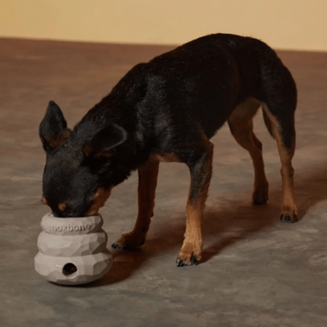 Honeycomb Balance Toy - with Dog 2