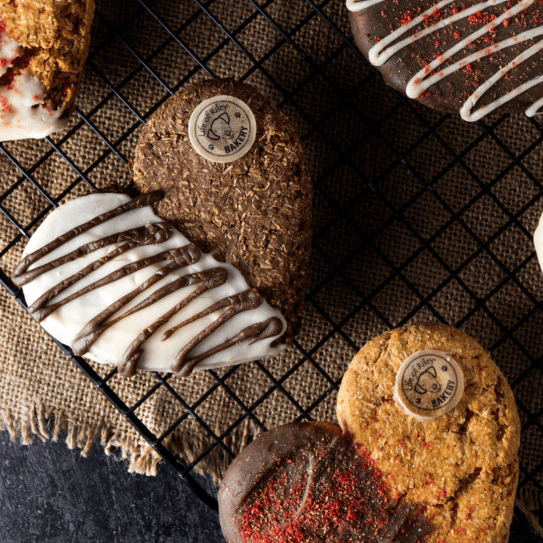 Life Of Riley Doggy Cookie - Flatlay